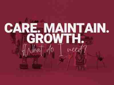 Website Care, Maintenance, and Growth – What Do I Need?