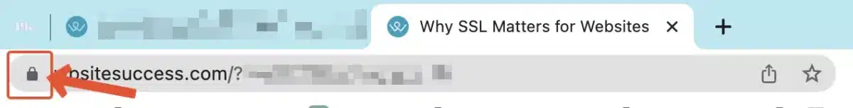 screenshot of SSL security lock in the browser window.